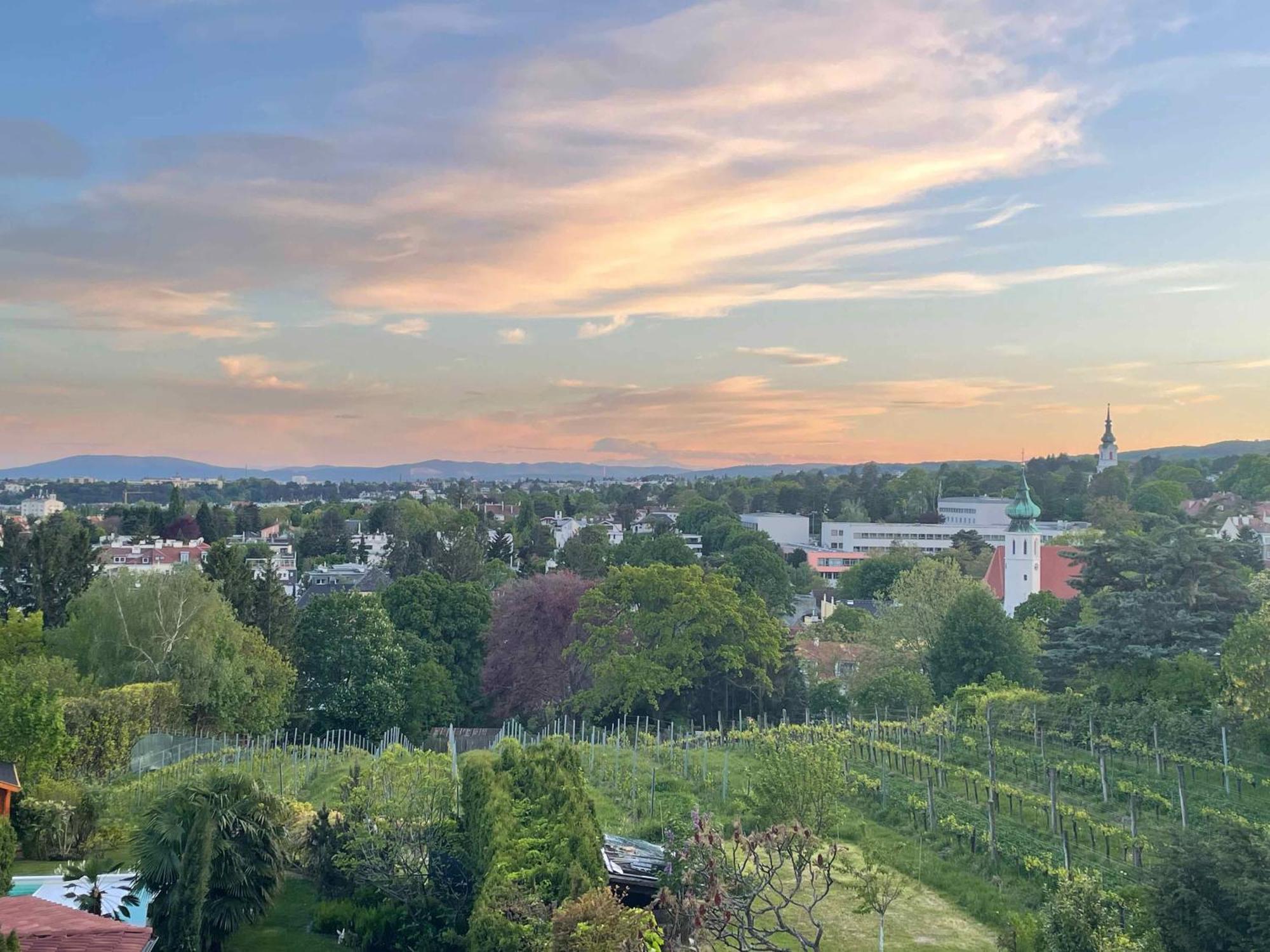 Herrlicher Ausblick Ueber Wien Exterior foto